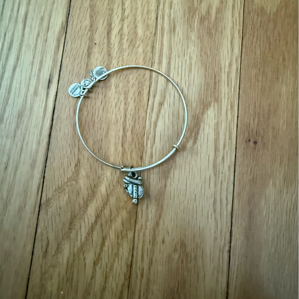 Silver Charm Alex and ani